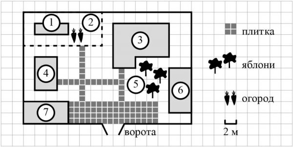 картинка